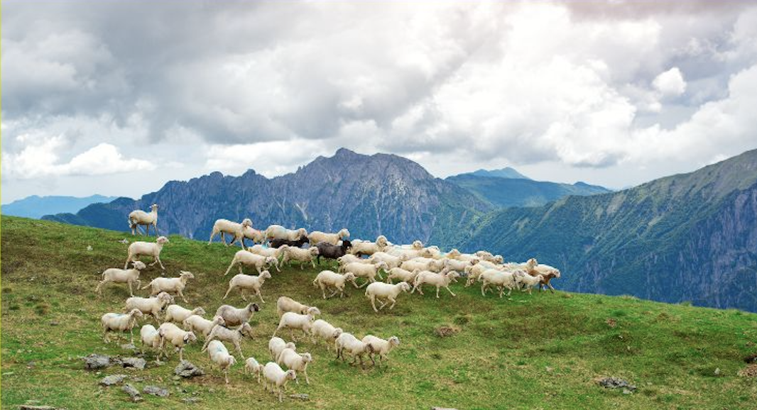 Il ruolo dell&rsquo;agricoltura per lo sviluppo della montagna